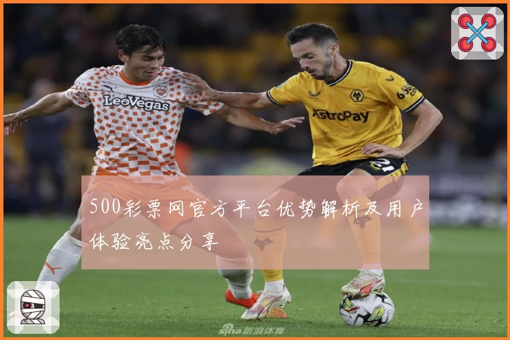 500彩票网官方平台优势解析及用户体验亮点分享