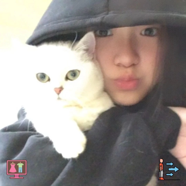 球盲鉴定师（浙江省）